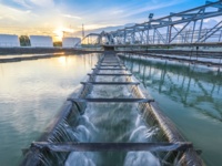 Growth Export Dutch Water Sector